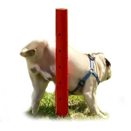 Дог Пост (Dog Post) - уличный туалет для собак